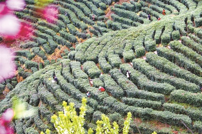 ���迪����ɽ��