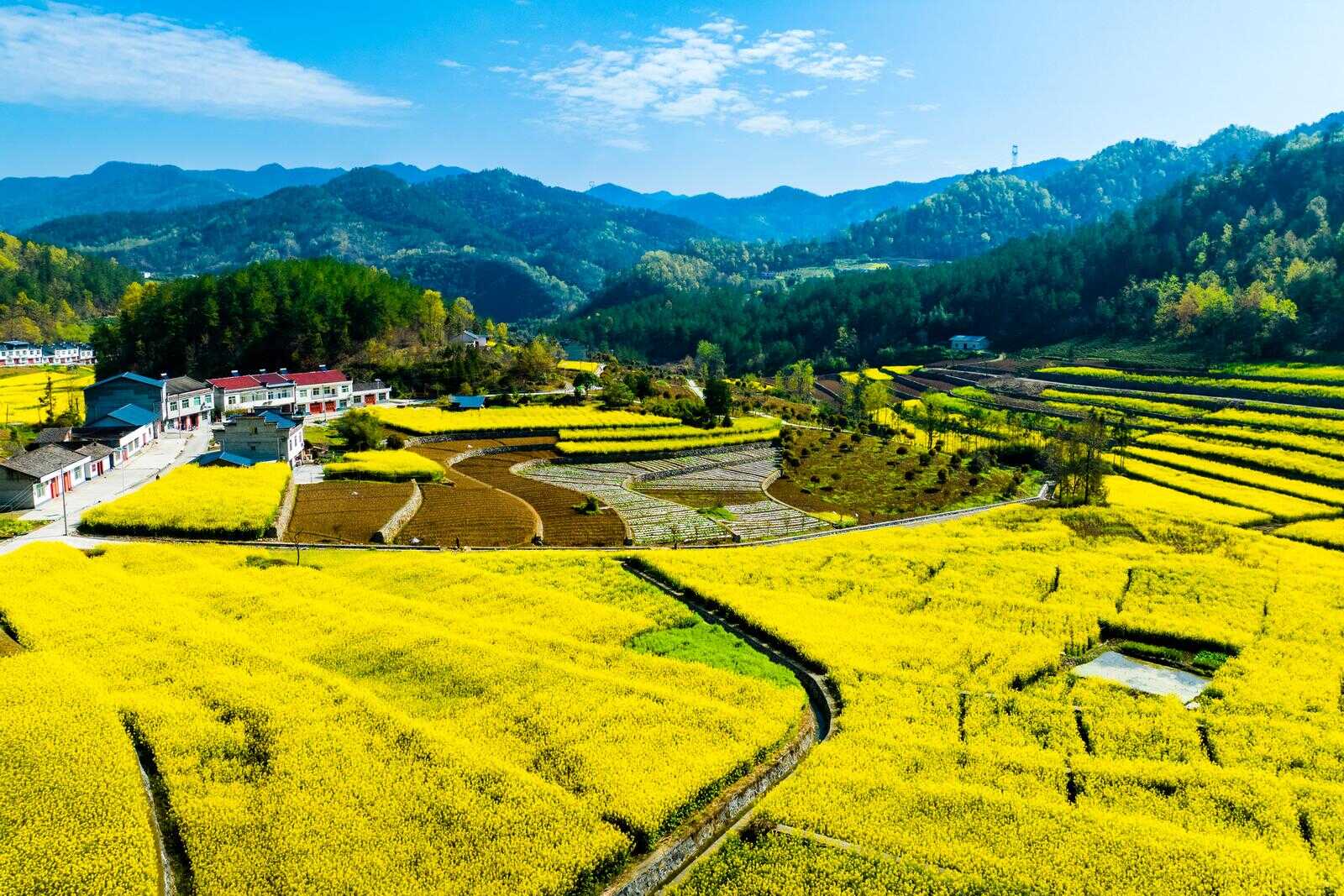 ����ʢ��